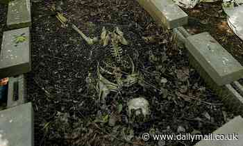 Forensic expert clams the UK's failure to set up a human 'body farm'