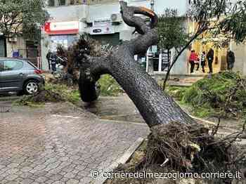 Maltempo, scuole chiuse in diversi Comuni campani. Capri è isolata - Corriere del Mezzogiorno