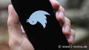 Nach dem Tod - Umfrage: Fast ein Drittel will digital weiterleben