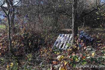 Kernen: Ärger über Trampoline, abgemeldete Autos und Pools auf Streuobstwiesen - Zeitungsverlag Waiblingen