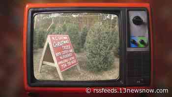 13News Now Vault: The 1980s Christmas tree shortage