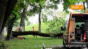 Gutachten nach Spielplatz-Tragödie fertig: Vater will endlich Klarheit - Augsburger Allgemeine