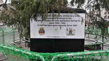 Norwegen schenkt Großbritannien Weihnachtsbaum - der sorgt für Diskussionen