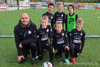 Ploeg in beeld: Zulte Waregem (Waregem) - Het Nieuwsblad