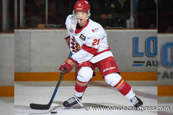 BCHL adds 24 skaters, 8 goaltenders to online all-star ballot – Vanderhoof Omineca Express - Vanderhoof Omineca Express