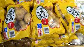 P.E.I., Puerto Rico lobby for export of potatoes to resume