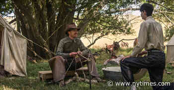 ‘The Power of the Dog’: About That Ending