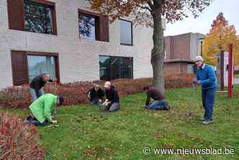 Velt plant 4.300 biologische bloembollen bij wzc 't Hof - Het Nieuwsblad