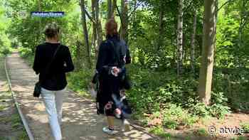 Laat uw favoriete groene plekje in Antwerpen vereeuwigen in een gedicht - ATV