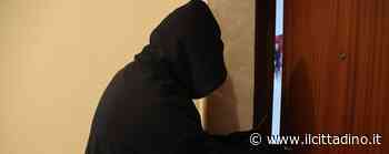 FURTI NELLA BASSA Ladri all'opera di notte all'istituto Tondini di Codogno, ma restano a mani vuote - Il Cittadino