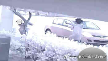 Gunman Sought in Brazen Pompano Beach Shooting Caught on Camera