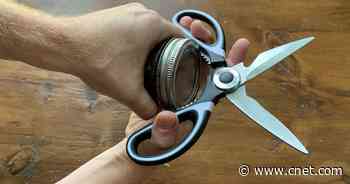 5 unexpected uses for kitchen shears     - CNET