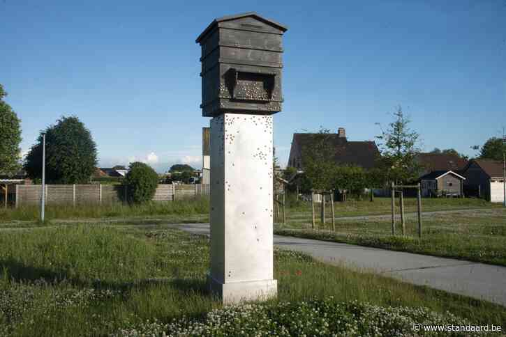 Gemeente Zedelgem verwijdert omstreden oorlogsmonument na in... - De Standaard