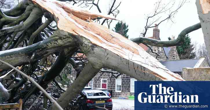 Prepare for more extreme weather, Britons warned in wake of Storm Arwen - The Guardian
