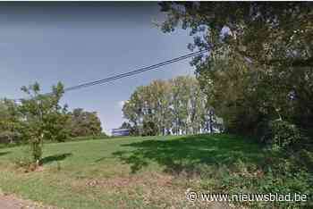 Herne krijgt eindelijk een echt bos en alle inwoners gaan daar samen ruim 5.300 bomen voor planten - Het Nieuwsblad