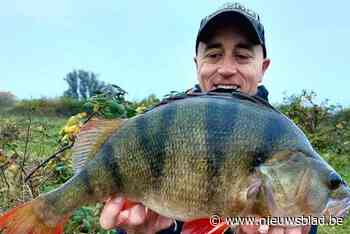 Oud-voetballer Jurgen Bastiaensen (44) komt om het leven na val in de Maas: “Het is onwezenlijk dat hij er niet meer is”