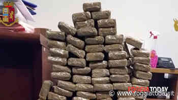 Condannata la banda di trafficanti di droga: sorpresi con quasi 300 kg nascosti in un camion - FoggiaToday
