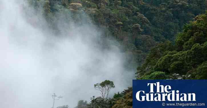 Plans to mine Ecuador forest violate rights of nature, court rules
