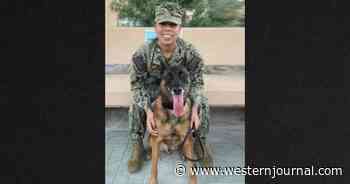 Military Dog Stranded After Heroic Service, Desperate for Ride Home to New Family