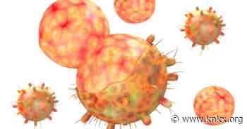 Coronavirus FAQ: Help me with omicron vocab. What's immune evasion? Epistasis? - knkx.org