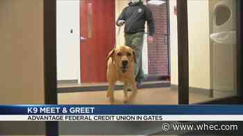 Gates Advantage Federal Credit Union hosts K9 meet and greet