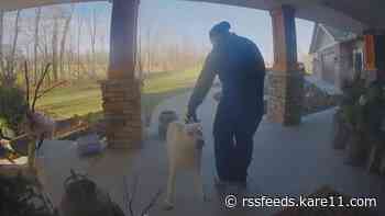 GOOD BOY! Nixon the dog loves delivery drivers