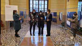 Frosinone – A palazzo Gramsci inaugurata la mostra “L'Invisibilità non è un potere” - TG24.info
