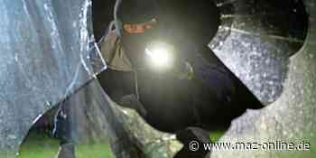 Schon wieder Gartenlaube in Bad Belzig demoliert - Märkische Allgemeine Zeitung