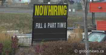 Sask. unemployment rate drops to 5.2%, 10,100 jobs gained in November