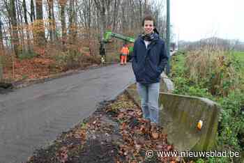 Elie (33) start online burgerplatform en eerste onderwerp ra... (Aalter) - Het Nieuwsblad