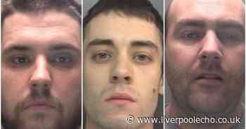 Gun crook, arsonist and bully boyfriend jailed in November - Liverpool Echo
