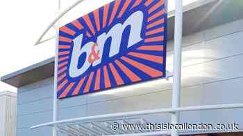 B&M is selling an egg chair for cats at just £55