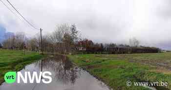 Wateroverlast in Assenede: "Akkers kunnen regen niet meer slikken", gemeente ruimt grachten - VRT NWS