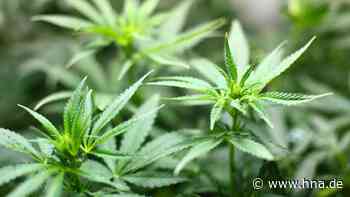 Riesiger Drogenfund in Eiterfeld: Mehrere Personen festgenommen - HNA.de