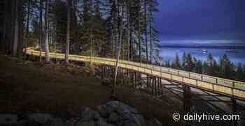 Stunning elevated pathway through forest opens in West Vancouver (PHOTOS) | Urbanized - Daily Hive