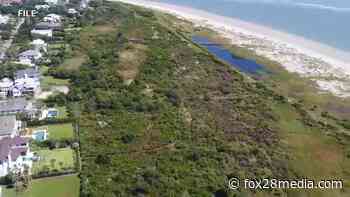 Attorney hired by Sullivan's Island says maritime forest settlement invalid, unenforceable - fox28media.com