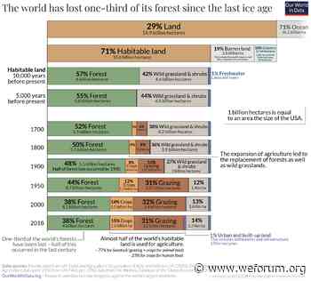 Three lessons on how to finance forest conservation - World Economic Forum