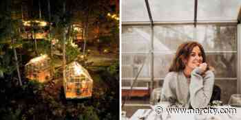 You Can Dine Under Twinkly Lights & A Forest Canopy In These Glass Chalets Near Ottawa (VIDEO) - Narcity Canada