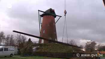Molenwieken van meer dan 25 meter van de Oelegemse molen afgehaald - Gazet van Antwerpen