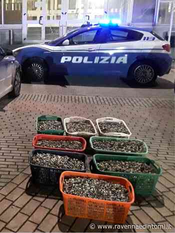 All'alba in auto con 220 kg di vongole pescate in spiaggia: multa da 1.500 euro - Ravenna e Dintorni