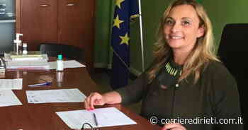 Covid Rieti, il sindaco di Fara Sabina Cuneo firma ordinanza per mascherine all’aperto nei luoghi di aggregazione per eventi natalizi - Corriere di Rieti