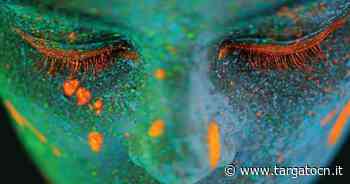 A Cuneo il Concerto per la Pace "Enrico Caruso, la mia vita" - TargatoCn.it