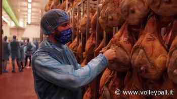 Cuneo: Nuovo appuntamento con "Made in Piemonte" - Volleyball.it