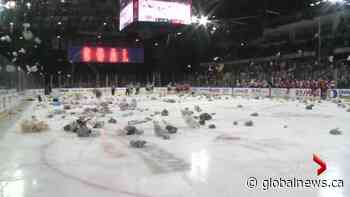 Lethbridge Hurricanes fall to Wheat Kings on teddy bear toss night