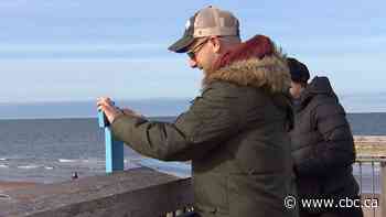 National park visitors asked to take photos to track climate change