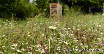 Vorgaben und Beratung für Grundstückseigentümer in Bad Waldsee - Schwäbische