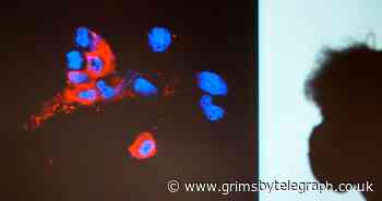 A further 75 Omicron cases confirmed in England - Grimsby Live