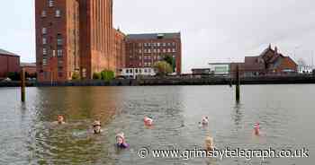 Swimmers brave freezing dock temperatures for 'Dip a Day' fundraiser challenge - Grimsby Live