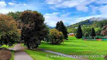 Projekt in Bad Herrenalb: Schweizer Wiese hat keine hohe Priorität mehr