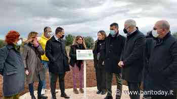 'Boschetti anti-smog' e un 'Mosaico Verde' per la Zona industriale: a Bari in arrivo 3mila alberi nei prossimi tre anni - BariToday